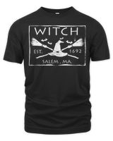 Witch Est. 1692 Salem, MA. Halloween Witch T-Shirt Unisex Premium T-Shirt black s